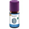 Baldini Duftöl Duftkomposition Feelmeer Demeter, Erfrischend Und Wohltuend, 5 Ml 2